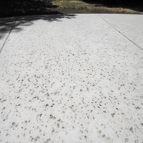 Salt Finish