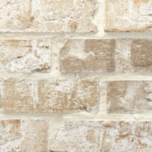 tap363kszher-ashtonantique-20231213-897881