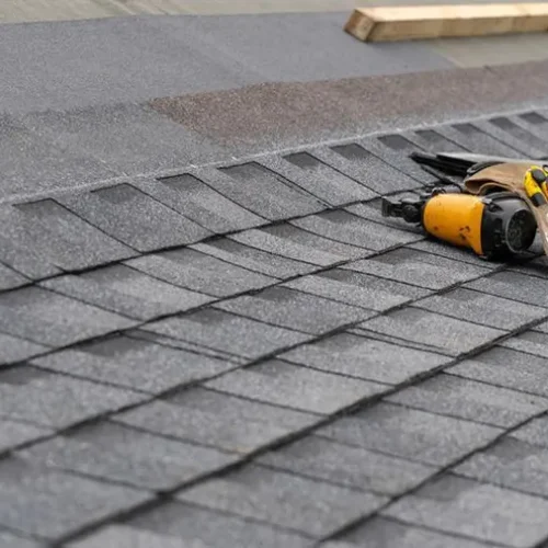 Shingle Shingle